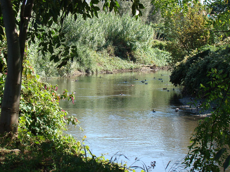 Accordo tutela fiume Lambro